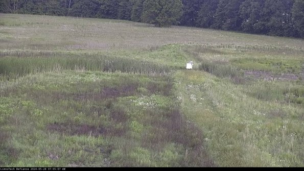 Cell 1 to 2_24-05-28_07-05-08-32