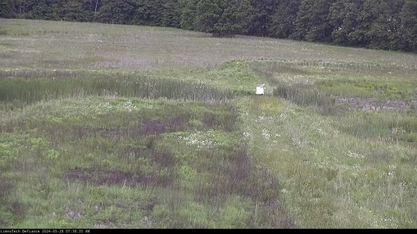 Cell 1 to 2_24-05-28_07-38-36-34