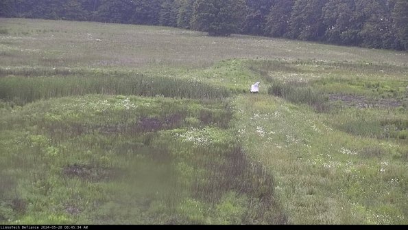 Cell 1 to 2_24-05-28_08-45-35-34