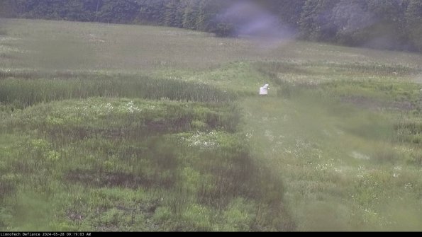 Cell 1 to 2_24-05-28_09-19-04-36