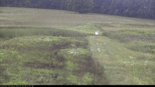 Cell 1 to 2_24-05-28_09-52-34-34