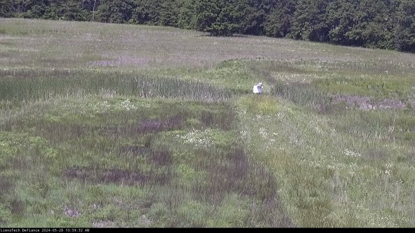 Cell 1 to 2_24-05-28_10-59-33-35