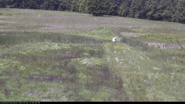 Cell 1 to 2_24-05-28_12-06-31-35