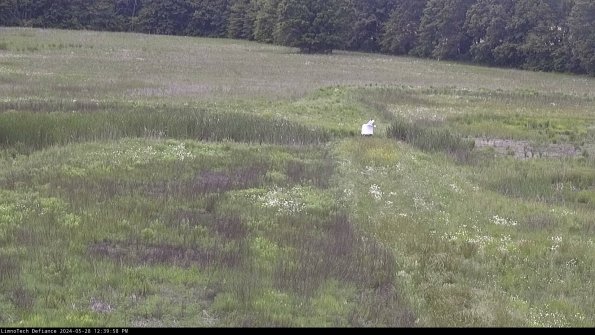 Cell 1 to 2_24-05-28_12-39-59-34