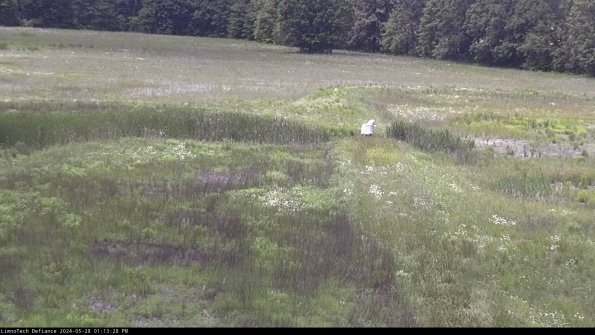 Cell 1 to 2_24-05-28_13-13-29-33