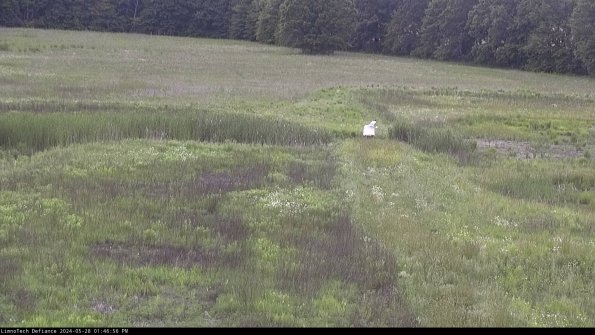 Cell 1 to 2_24-05-28_13-46-57-35