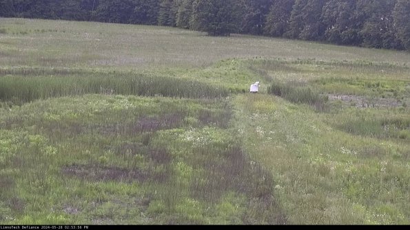 Cell 1 to 2_24-05-28_14-53-57-35