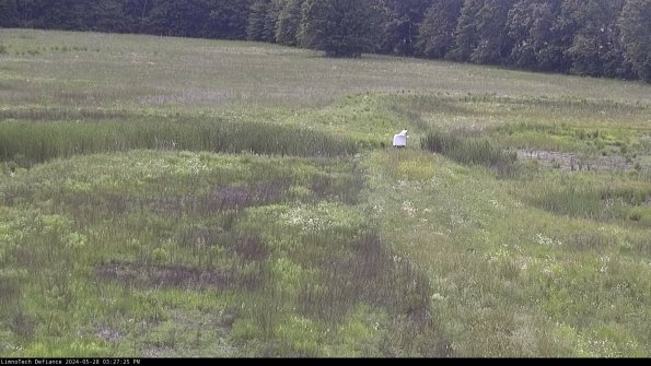 Cell 1 to 2_24-05-28_15-27-26-34