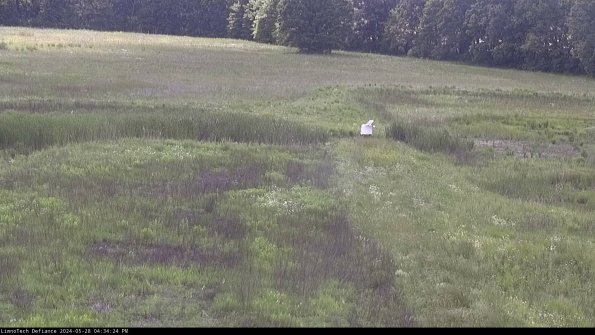 Cell 1 to 2_24-05-28_16-34-25-31