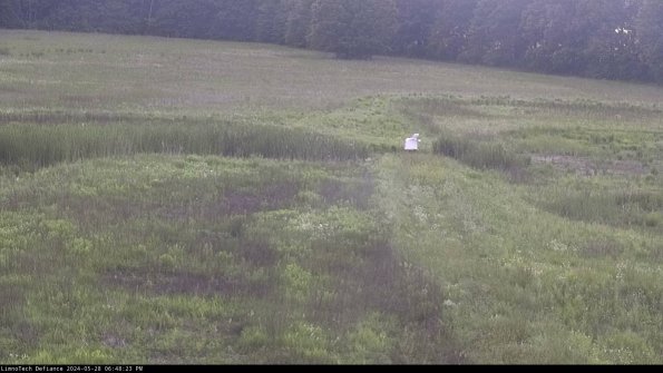 Cell 1 to 2_24-05-28_18-48-24-33