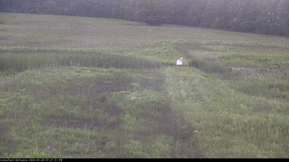 Cell 1 to 2_24-05-28_19-21-52-32