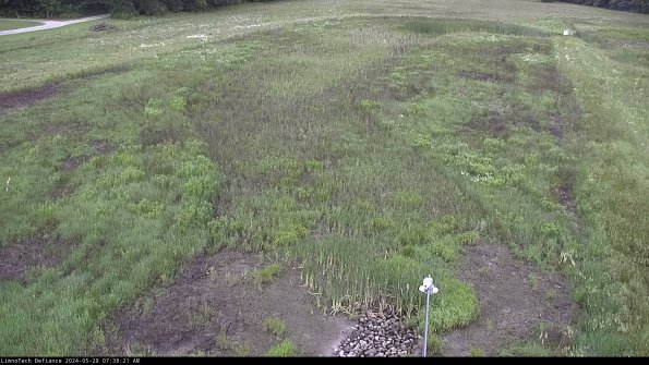 Cell 1_24-05-28_07-38-22-32