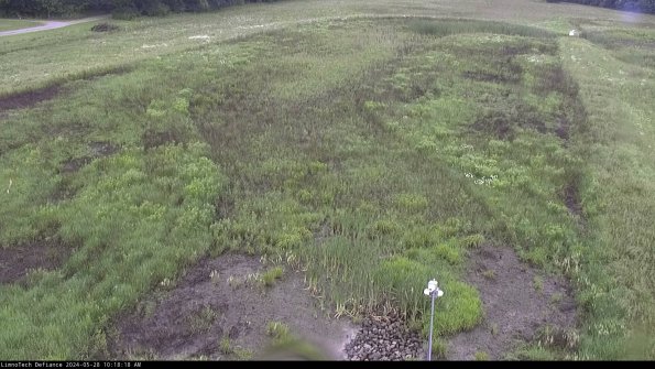 Cell 1_24-05-28_10-18-18-56