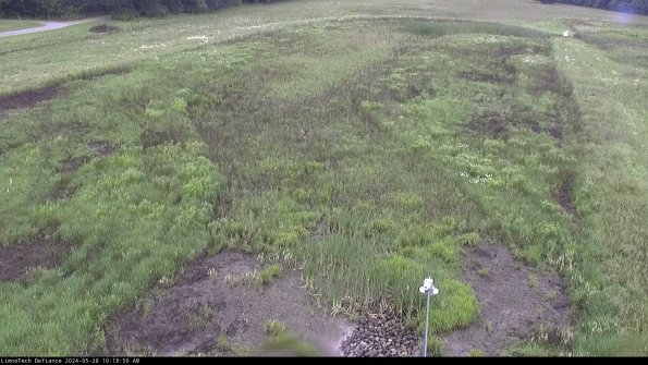 Cell 1_24-05-28_10-18-50-56