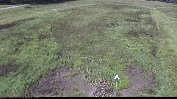 Cell 1_24-05-28_10-25-49-35