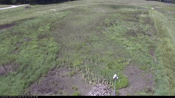 Cell 1_24-05-28_10-59-19-33