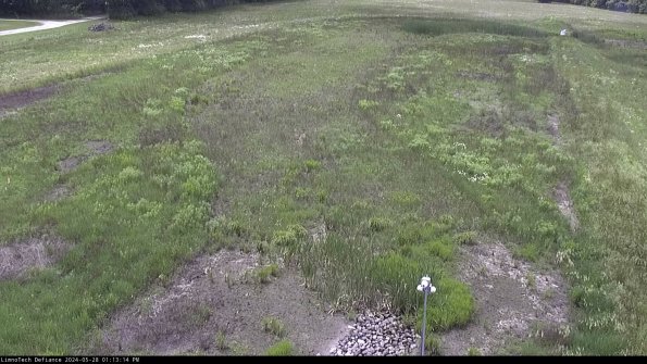 Cell 1_24-05-28_13-13-15-35