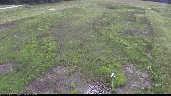 Cell 1_24-05-28_14-20-13-32