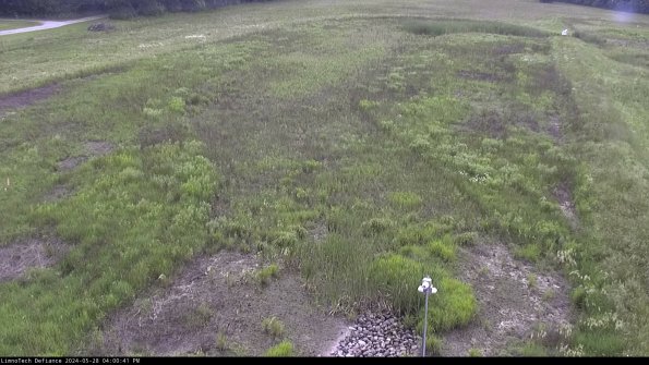 Cell 1_24-05-28_16-00-42-31