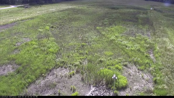 Cell 1_24-05-28_16-34-11-33