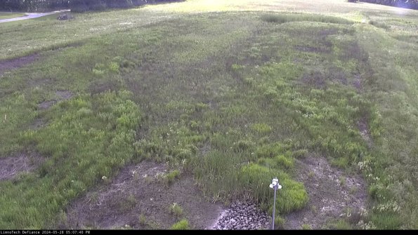 Cell 1_24-05-28_17-07-41-32