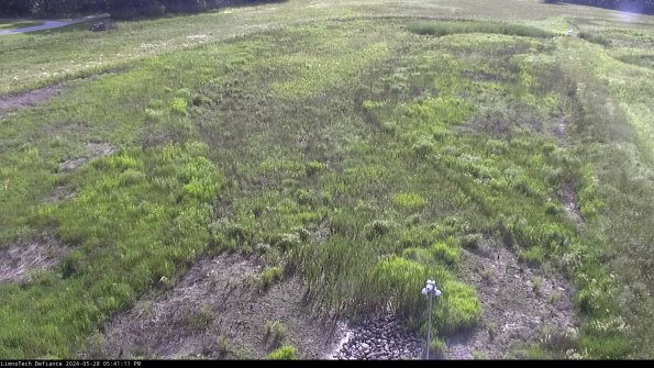 Cell 1_24-05-28_17-41-12-31