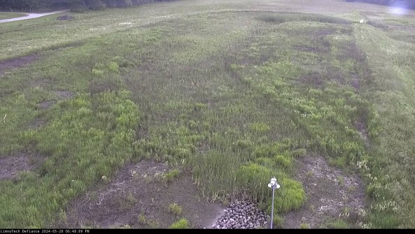 Cell 1_24-05-28_18-48-10-35