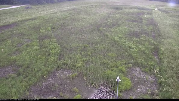 Cell 1_24-05-28_19-21-38-34