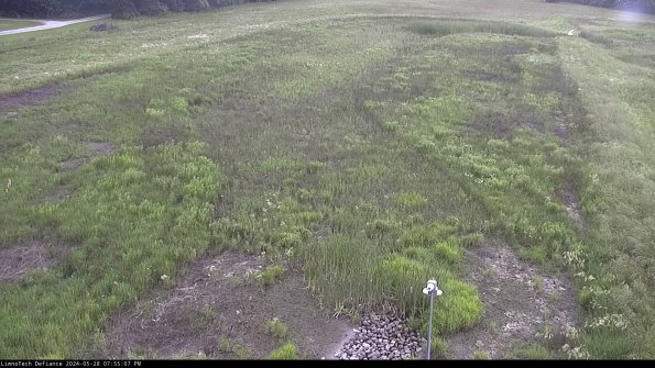 Cell 1_24-05-28_19-55-08-32