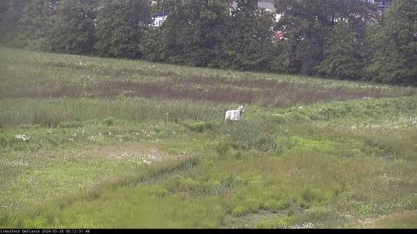 Cell 2 to 3_24-05-28_08-12-32-41