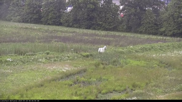 Cell 2 to 3_24-05-28_08-46-01-43