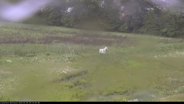 Cell 2 to 3_24-05-28_09-19-30-51