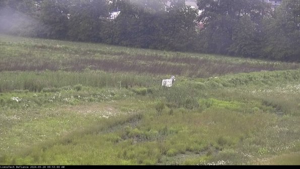 Cell 2 to 3_24-05-28_09-53-00-50