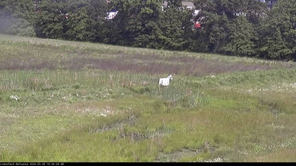 Cell 2 to 3_24-05-28_10-26-29-42