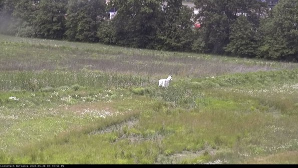 Cell 2 to 3_24-05-28_13-13-55-42