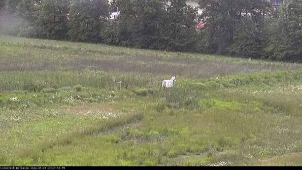 Cell 2 to 3_24-05-28_14-20-53-49