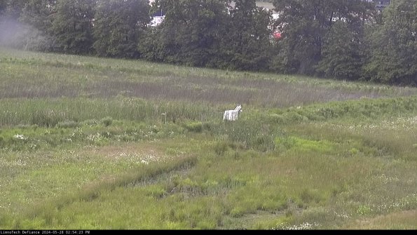 Cell 2 to 3_24-05-28_14-54-23-48