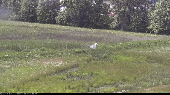 Cell 2 to 3_24-05-28_15-27-52-50