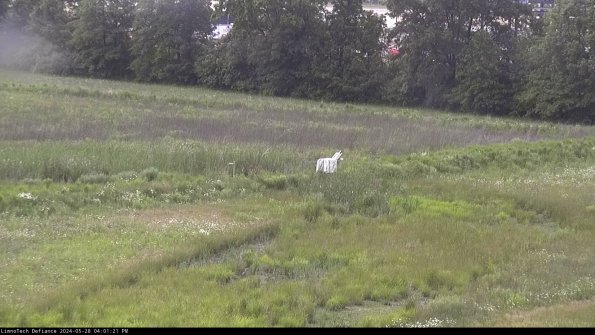 Cell 2 to 3_24-05-28_16-01-22-42