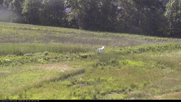 Cell 2 to 3_24-05-28_17-08-21-40