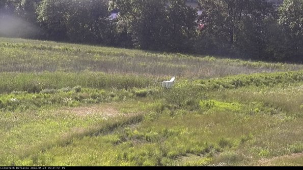 Cell 2 to 3_24-05-28_17-41-52-38