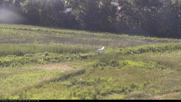 Cell 2 to 3_24-05-28_18-15-21-44