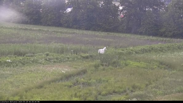 Cell 2 to 3_24-05-28_18-48-50-42