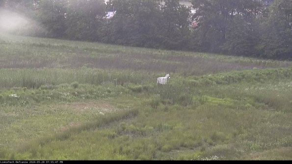 Cell 2 to 3_24-05-28_19-55-48-37