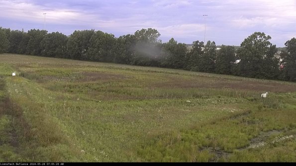 Cell 2_24-05-28_07-05-21-37