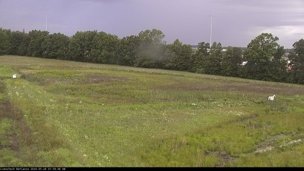 Cell 2_24-05-28_07-38-49-35