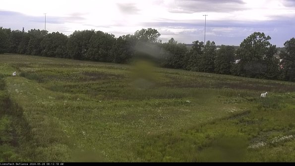 Cell 2_24-05-28_08-12-19-37