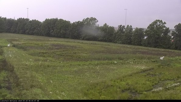 Cell 2_24-05-28_08-45-48-35