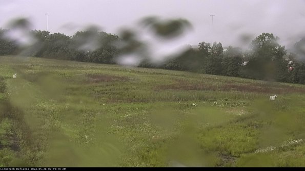 Cell 2_24-05-28_09-19-17-37