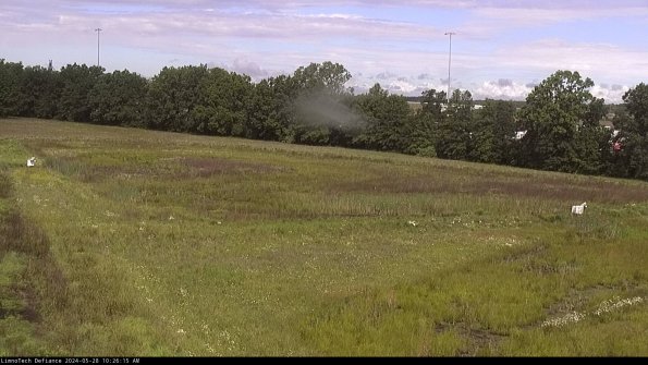 Cell 2_24-05-28_10-26-16-37